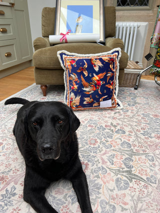 S9P24 Turf War navy large cushion
