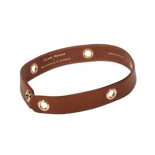 Brown leather belt with gold eyelets on a white background