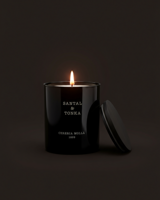 Medium Scented Candle: Santal and Tonka Home Fragrance (230g)