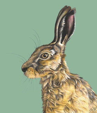 Harry - Clare Haggas Prints